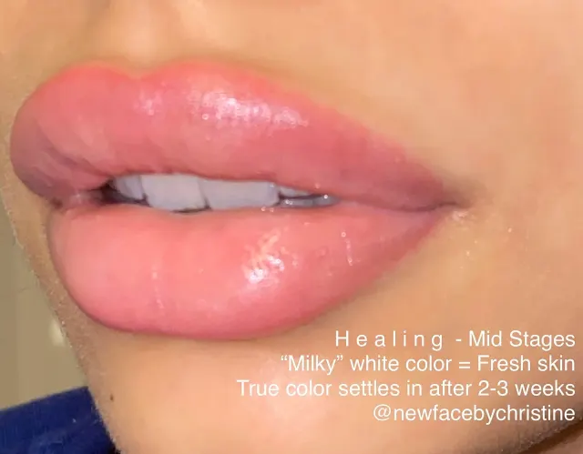 Lip Blush Tattoo result by New Face by Christine, NYC — photo 233